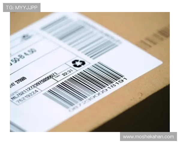 确保账号安全：使用K8凯发集团网址的安全登录技巧与建议