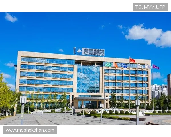 解决凯发集团网页版登录不了问题的实用技巧与操作步骤